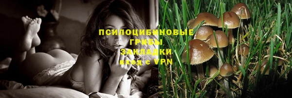 spice Куйбышев